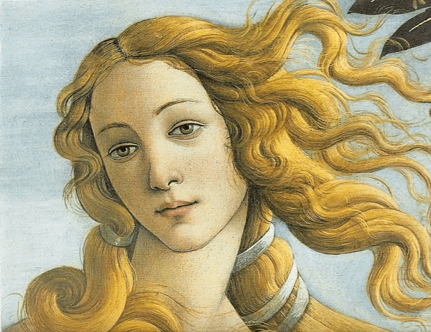 Diamond Painting - Wenus - SEOS Shop ®