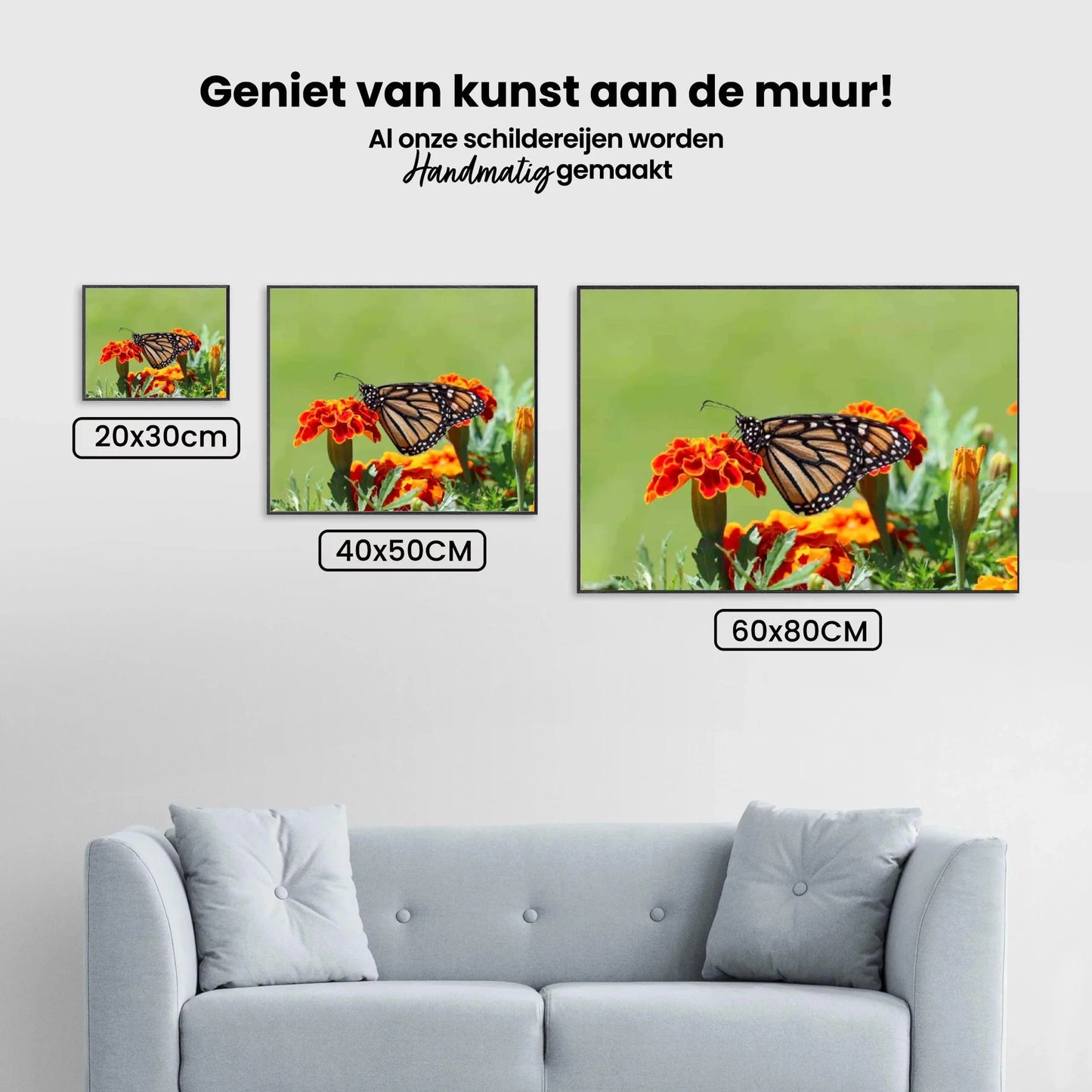 Diamond Painting Motyl - SEOS Shop ®