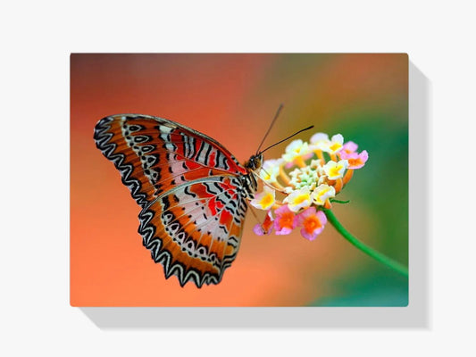 Diamond Painting Motyl na kwiacie - SEOS Shop ®