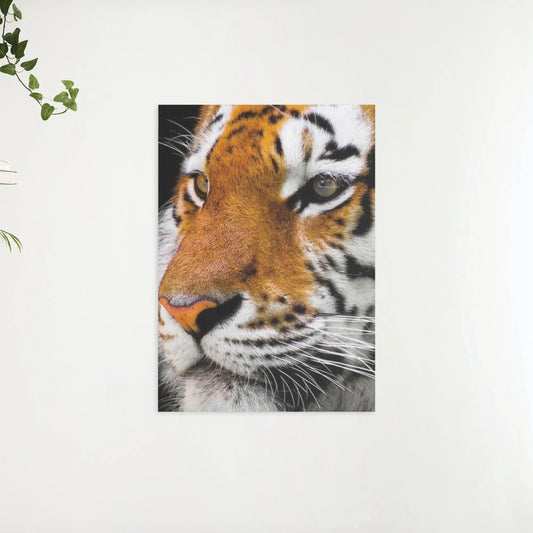 Diamond Painting Dorosły tygrys - SEOS Shop ®