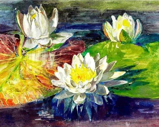Diamond Painting Wodne Lilia czerwone i zielone - SEOS Shop ®