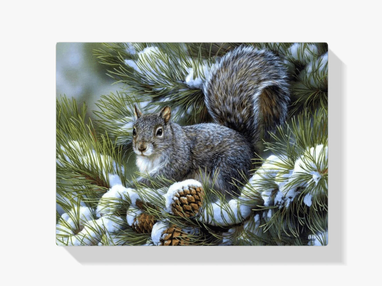 Diamond Painting Zima Urocza Wiewiórka - SEOS Shop ®