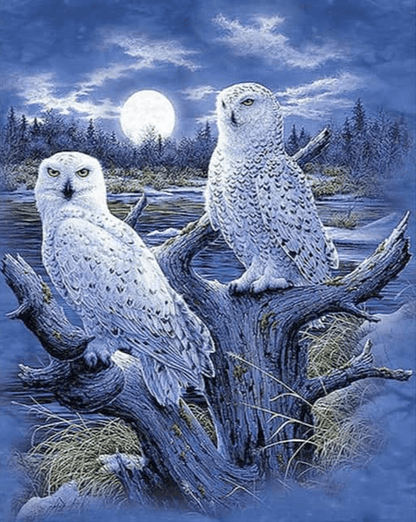 Diamond Painting Zimowe Sowy - SEOS Shop ®
