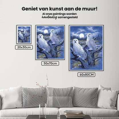 Diamond Painting Zimowe Sowy - SEOS Shop ®
