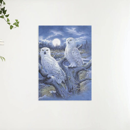Diamond Painting Zimowe Sowy - SEOS Shop ®