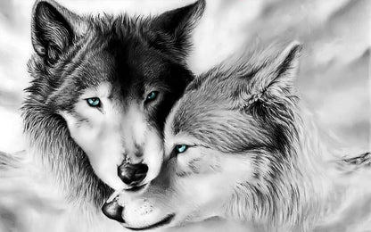 Diamond Painting Białe Wilki Para - SEOS Shop ®