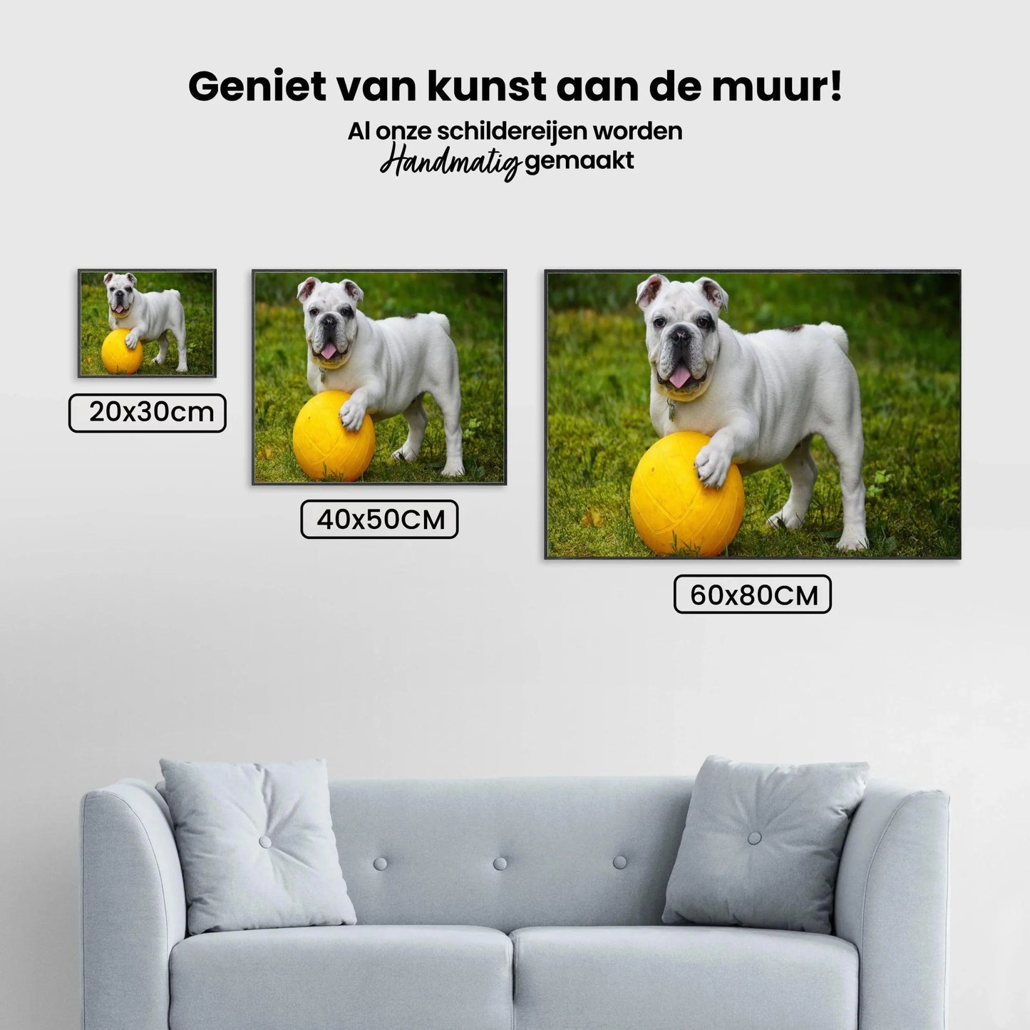 Diamond Painting Biały bulldog z piłką - SEOS Shop ®