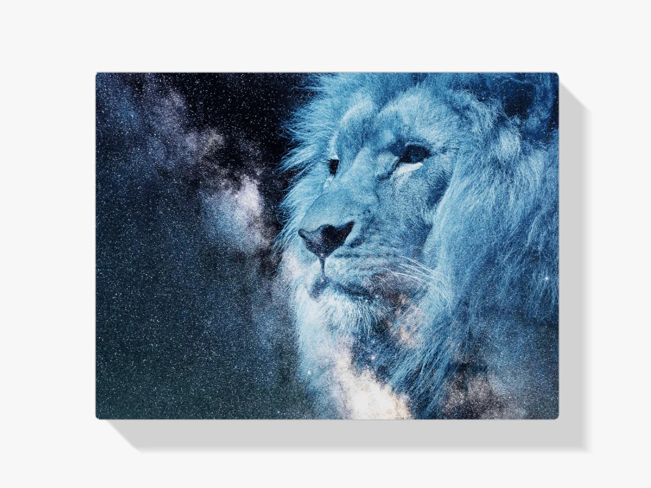 Diamond Painting Biała lwiątko - SEOS Shop ®