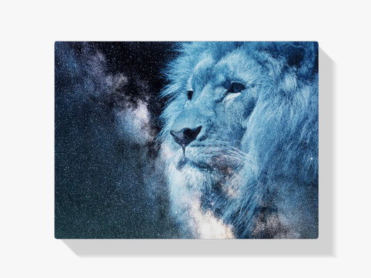 Diamond Painting Biała lwiątko - SEOS Shop ®