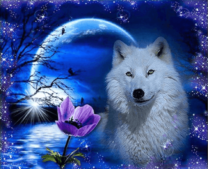 Diamond Painting Wilk z różą - SEOS Shop ®