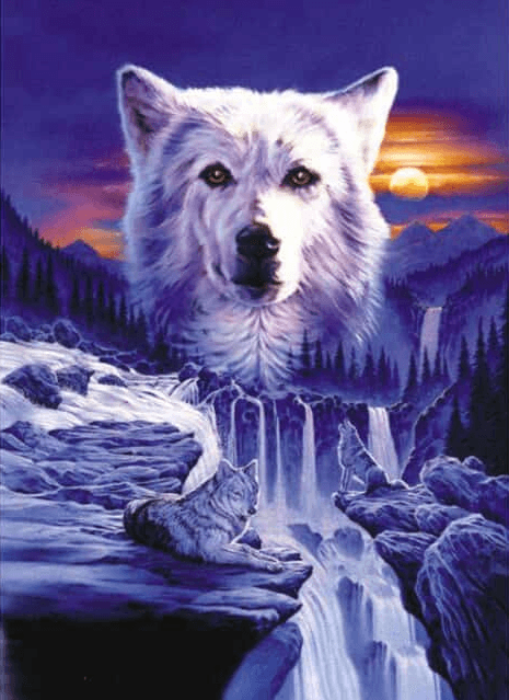 Diamond Painting Wilki Wodospad - SEOS Shop ®