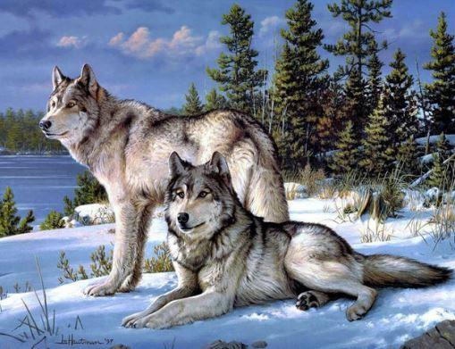 Diamond Painting Wilki zestaw – SEOS Shop ®