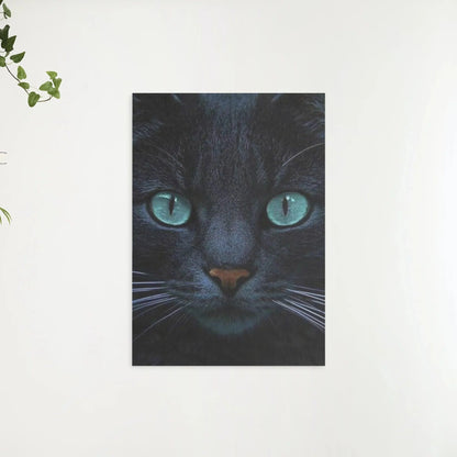 Diamond Painting Czarna kotka i niebieskie oczy - SEOS Shop ®