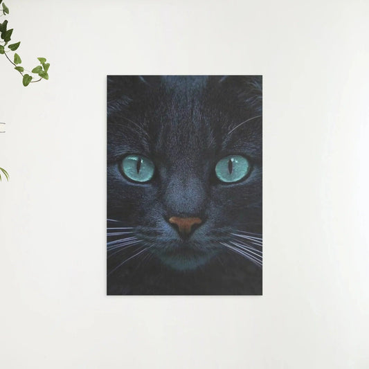 Diamond Painting Czarna kotka i niebieskie oczy - SEOS Shop ®