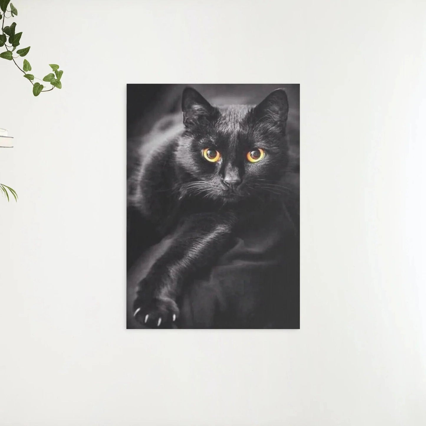 Diamond Painting Czarny kot i żółte oczy - SEOS Shop ®