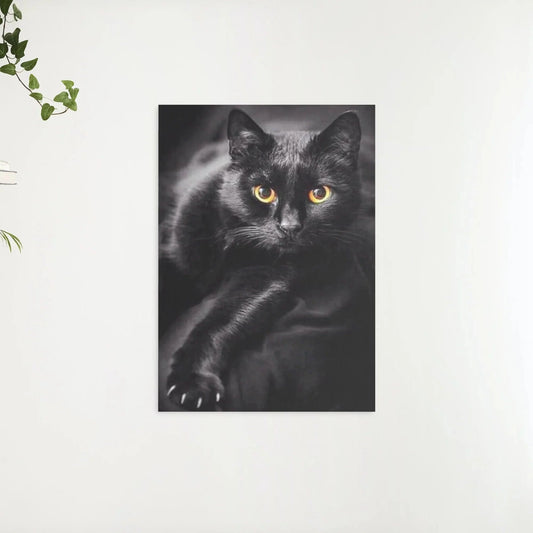 Diamond Painting Czarny kot i żółte oczy - SEOS Shop ®