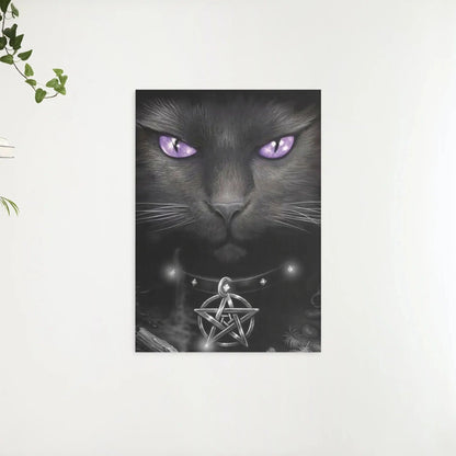 Diamond Painting Czarny kot i fioletowe oczy - SEOS Shop ®