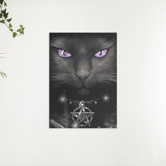 Diamond Painting Czarny kot i fioletowe oczy - SEOS Shop ®