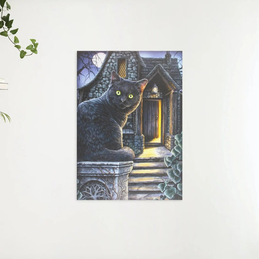 Diamond Painting Czarny kot z zielonymi oczami - SEOS Shop ®