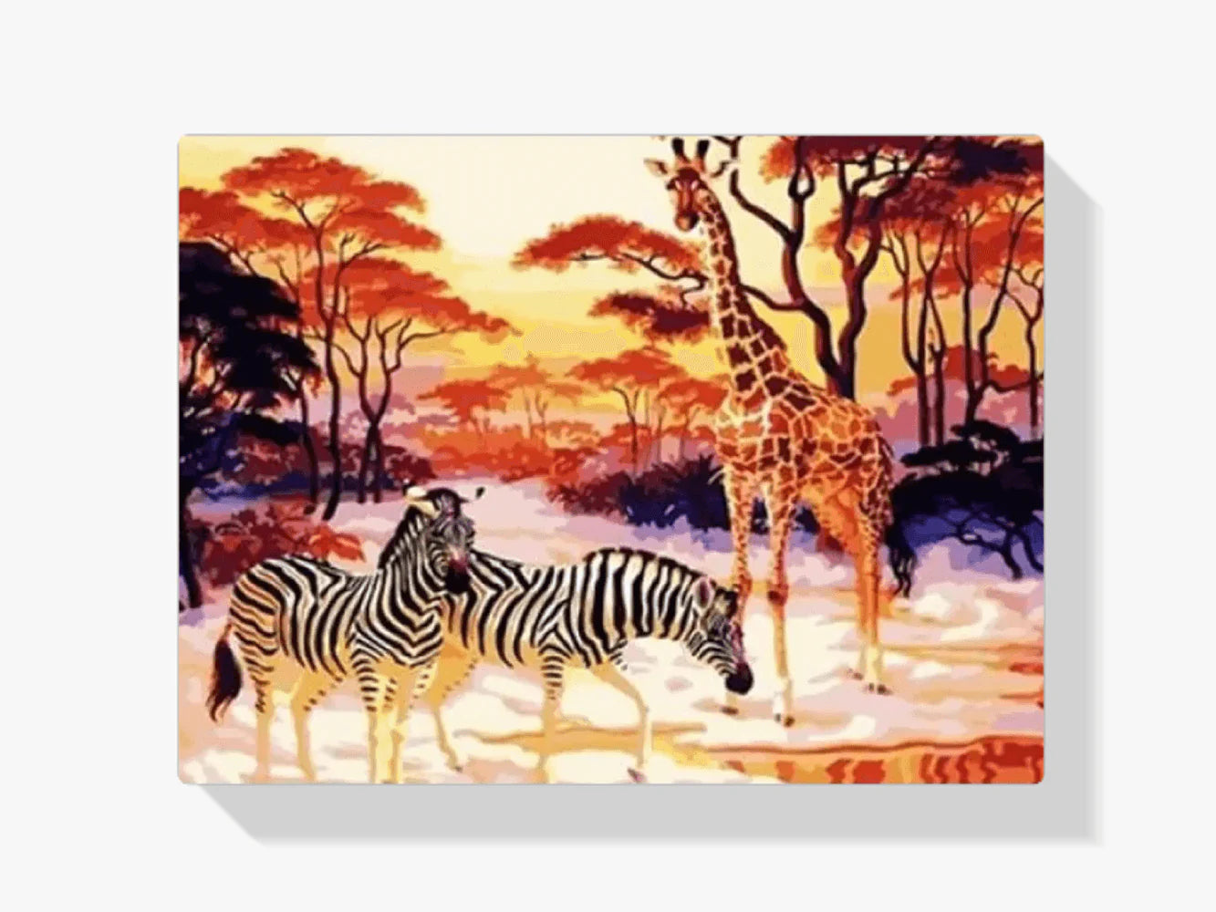 Diamond Painting - Afryka - SEOS Shop ®
