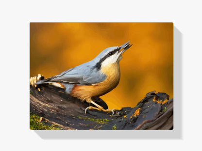Diamond Painting - Sowa na gałęzi - SEOS®