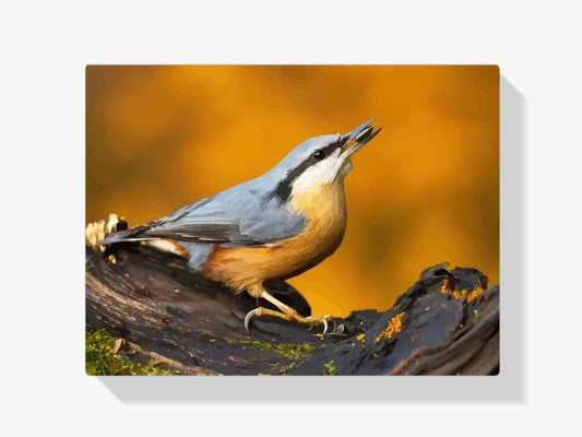 Diamond Painting - Sowa na gałęzi - SEOS®