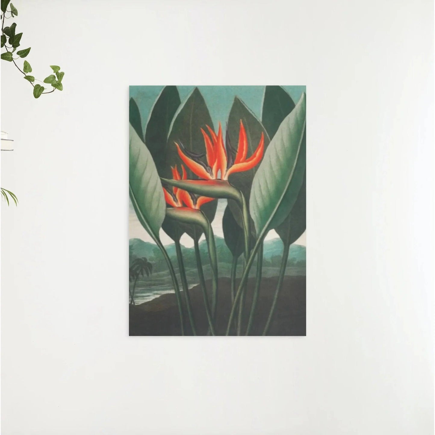 Diamond Painting - Królowa Roślin - SEOS Shop ®