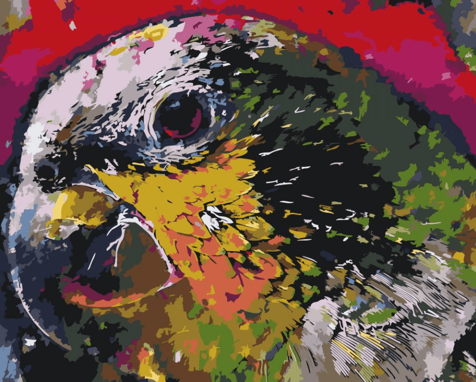 Diamond Painting - Głowa papugi - SEOS®