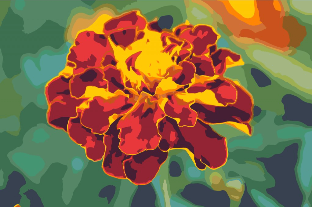 Diamond Painting - Nagietek - SEOS Shop ®