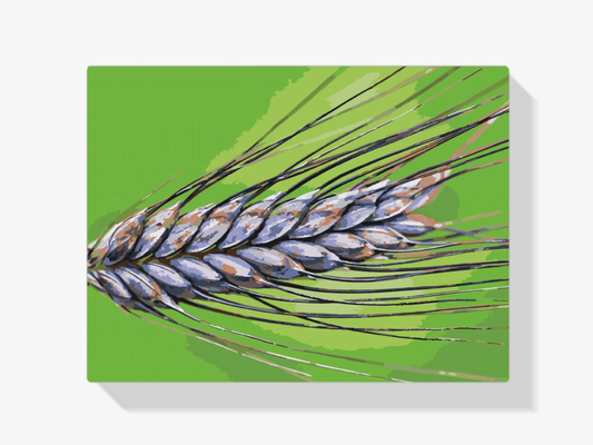 Diamond Painting - Zboże - SEOS Shop ®