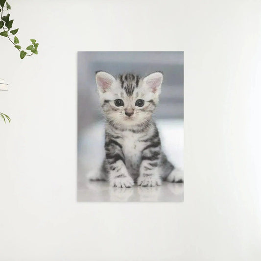 Diamond Painting - Szary kotek - SEOS®