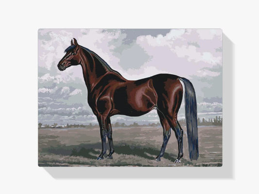 Diamond Painting - Majestatyczny koń - SEOS®