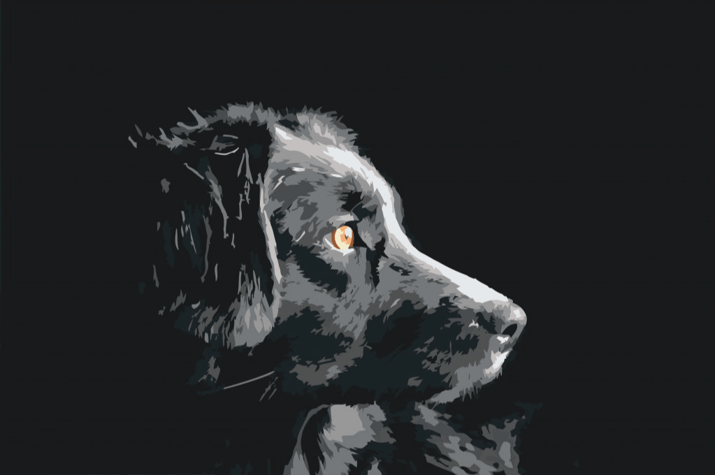 Diamond Painting - Widok psa - SEOS®