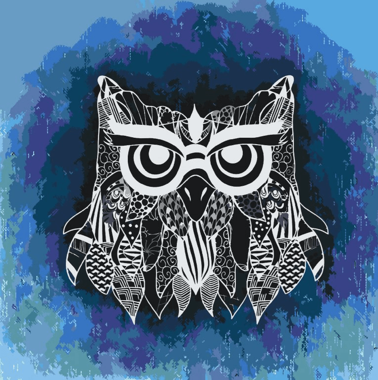 Diamond Painting - Ilustracja sowy - SEOS®