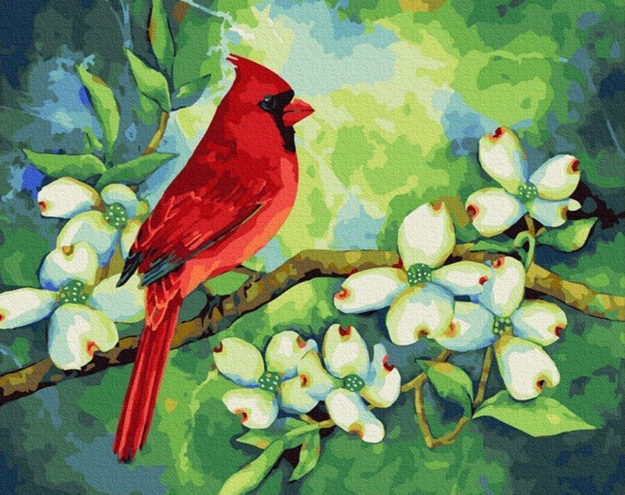 Diamond Painting - Kardynał - SEOS®