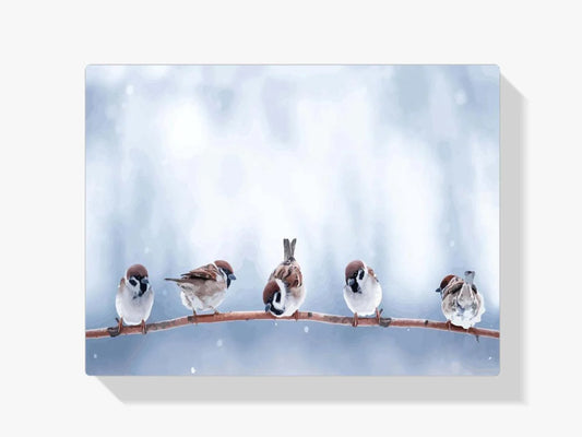 Diamond Painting - Małe Urocze Ptaki - SEOS Shop ®