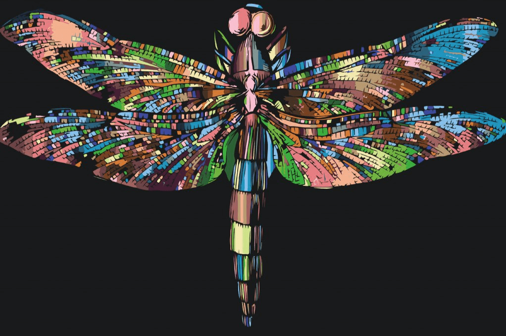 Diamond Painting - Kolorowy ważka - SEOS®