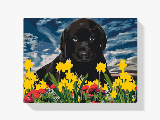 Diamond Painting - Szczeniak Labrador - SEOS®