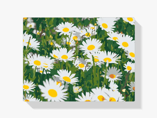 Diamond Painting - Madeliefki na łące - SEOS Shop ®