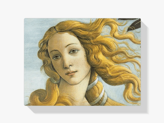Diamond Painting - Wenus - SEOS Shop ®