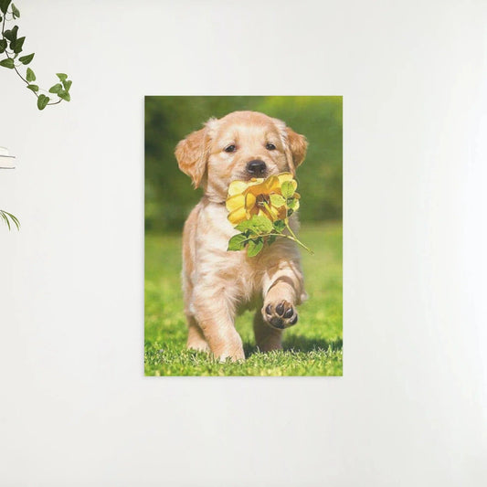 Diamond painting Labrador szczeniak z kwiatem - Pełny - SEOS Shop®