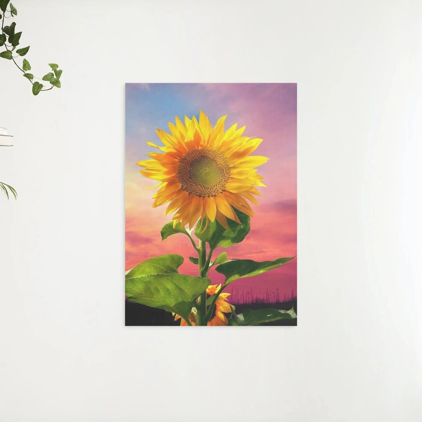 Diamond painting - Słonecznik na polu - SEOS Shop ®