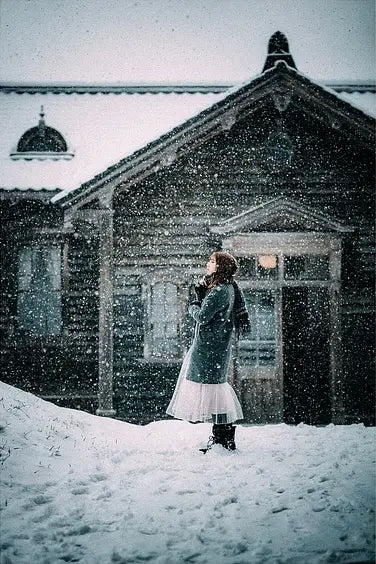 Diamond Painting - Dzień Śniegu