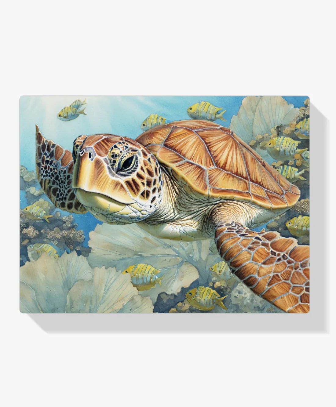 Diamond Painting - Żółw morski - SEOS Shop ®