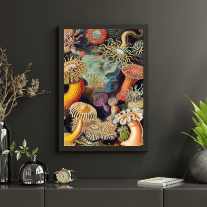 Diamond Painting - Actiniae