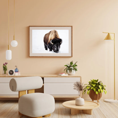 Diamond Painting - Bizon w śniegu