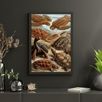 Diamond Painting - Chelonia