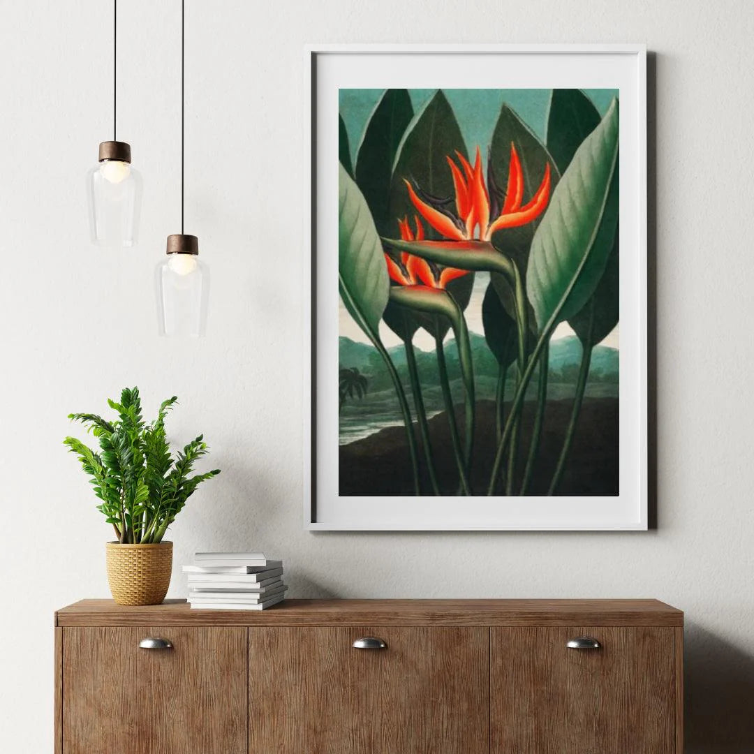 Diamond Painting - Królowa Roślin - SEOS Shop ®