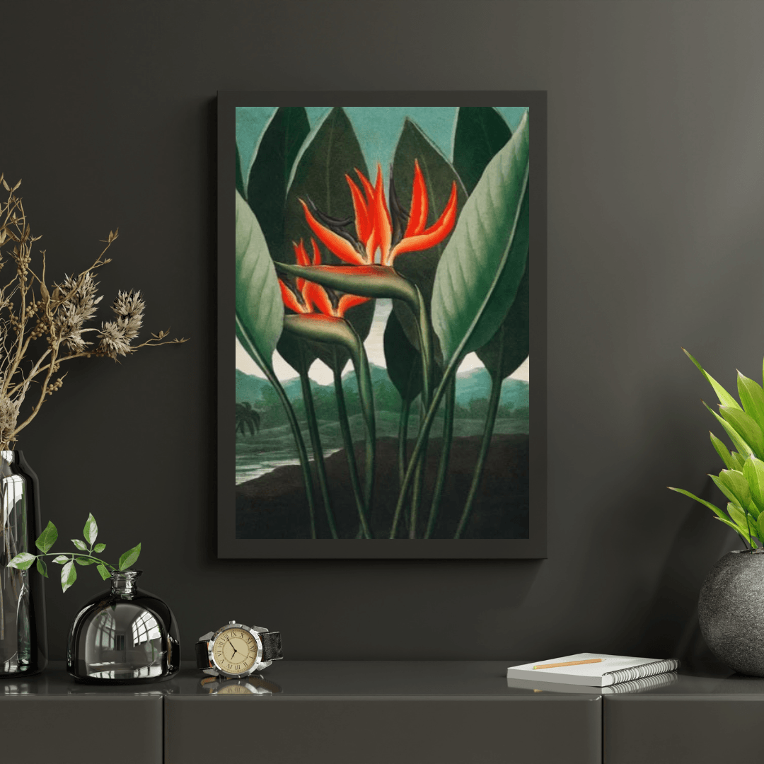 Diamond Painting - Królowa Roślin - SEOS Shop ®