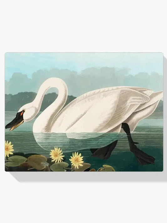 Diamond Painting - Wspólna amerykańska łabędź
